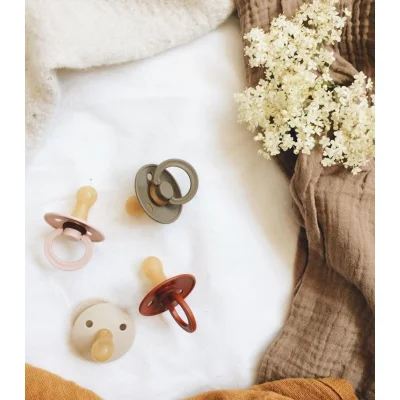 Bibs Colour Kauçuk Emzik, 18+ Ay, Sage