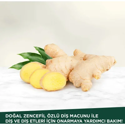 Eyüp Sabri Tuncer Doğal Diş Macunu, Zencefil Özlü, 90 g