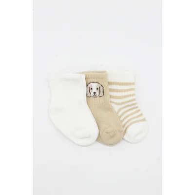 Bistyle Dog Boy Penye Soket Çorap, 3'lü, Ekru