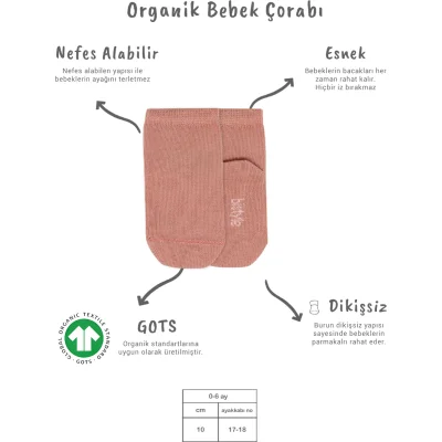 Bistyle 5'li Penye Soket Kutulu Basic Çorap 10131 Pudra