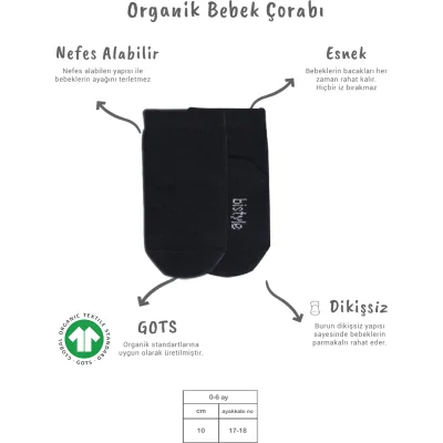 Bistyle 5'li Penye Soket Kutulu Basic Çorap 10131 Gri