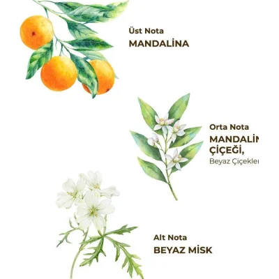 Eyüp Sabri Tuncer Kolonya Pet Şişe Sprey, 150 ml, Bodrum Mandalinası