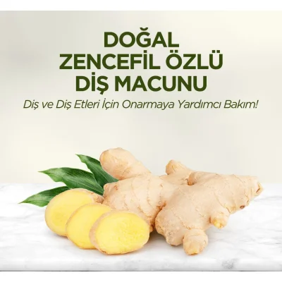 Eyüp Sabri Tuncer Doğal Diş Macunu, Zencefil Özlü, 90 g