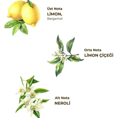 Eyüp Sabri Tuncer Kolonya Pet Şişe Sprey, 150 ml, Limon