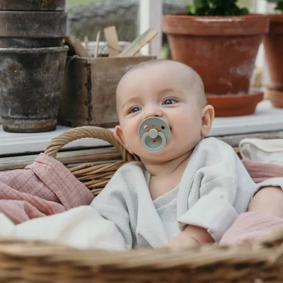 Bibs Colour Kauçuk Emzik, 6-18 Ay, Sage